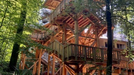 Baumwipfelweg Bad Camberg