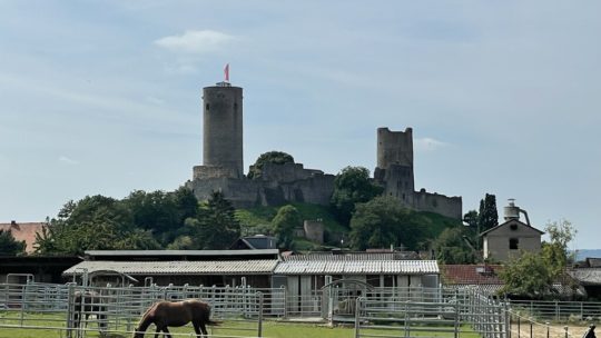 Burg Münzenberg